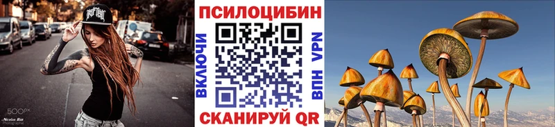 Купить  Ковылкино  Псилоцибиновые грибы Psilocybine cubensis 
